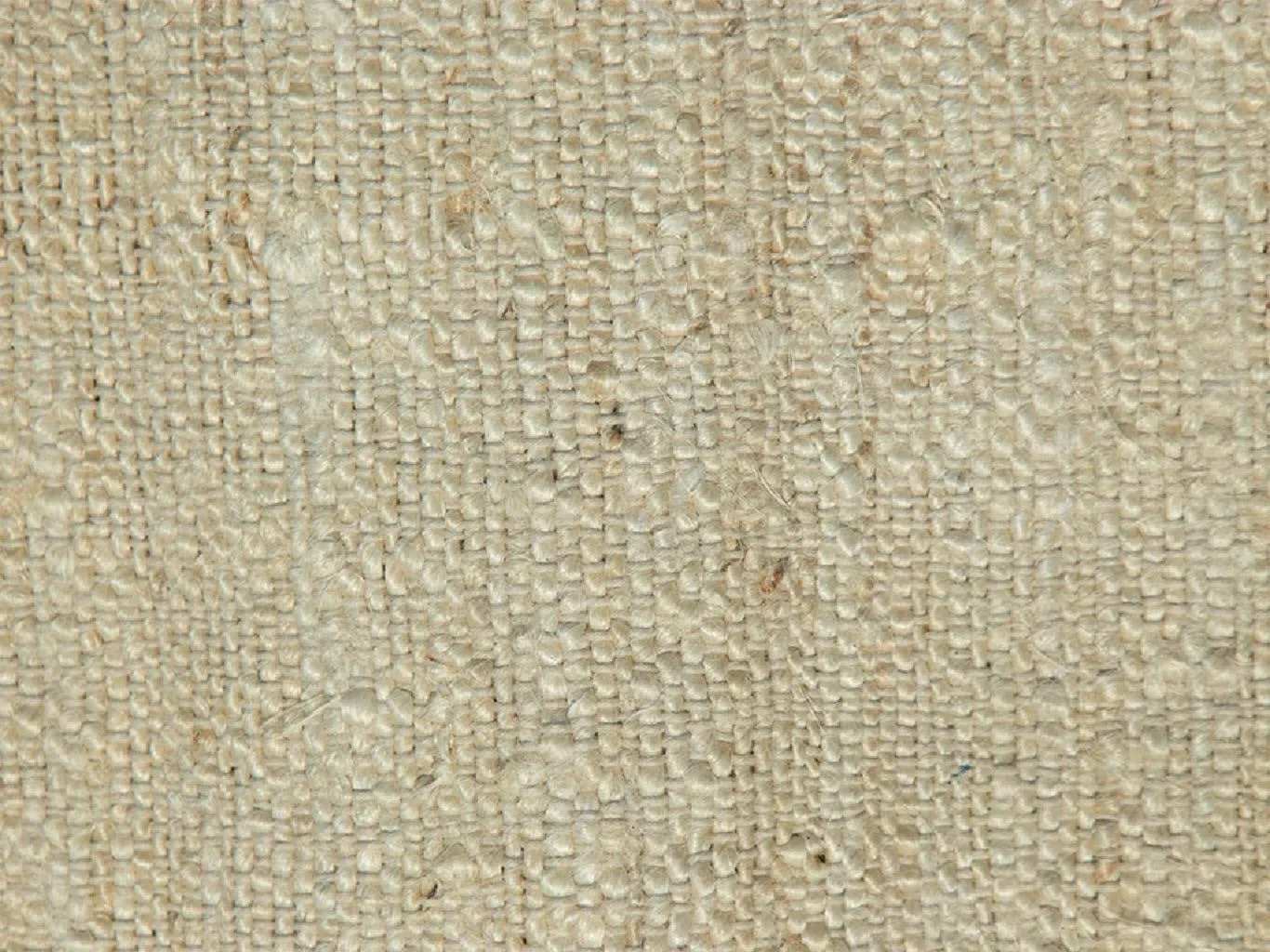 Wabi Sabi Rug miniatura 3